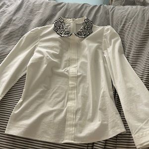 Collared Shirt